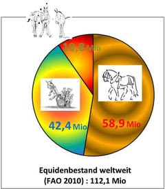 Arbeitsesel_öipk